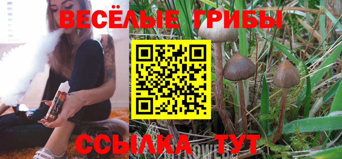 Псилоцибиновые грибы Cubensis  Псилоцибиновые грибы мухоморы  Вход с VPN  Солнечногорск 