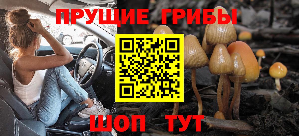 Псилоцибиновые грибы Magic Shrooms Солнечногорск